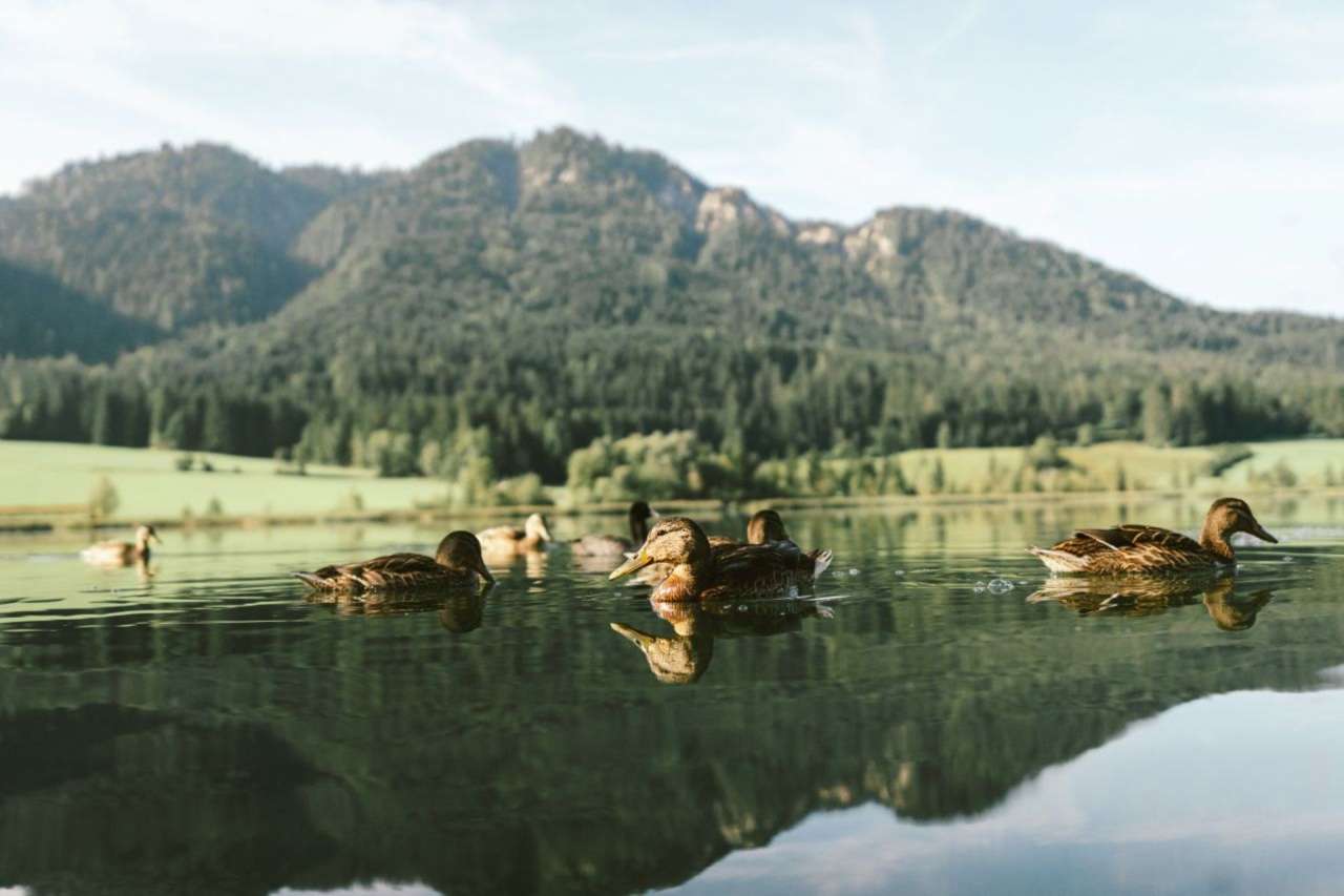 11_arlbergerhof_header_badestrand